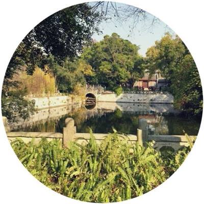 加拿大pc软件平台